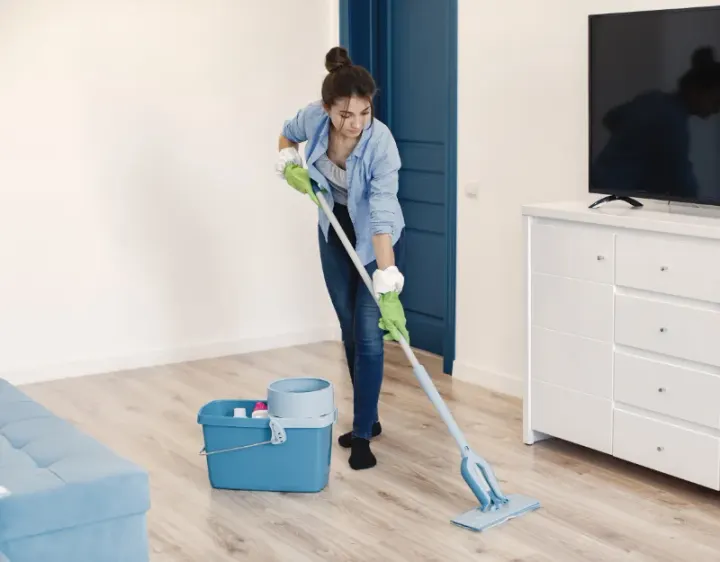 Femme de ménage Saint-André-de-l'Épine